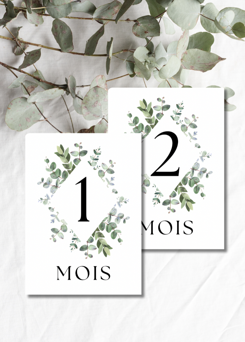 Cartes étapes bébé